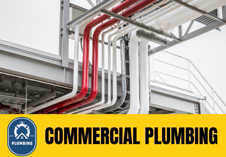 commercial plumbing Shorne