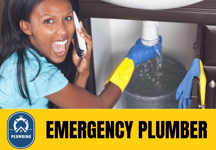 emergency plumber Shorne